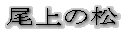 ̏